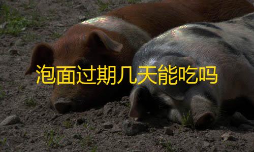 虚拟产品货源渠道泡面过期几天能吃吗